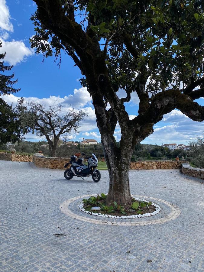 Quinta Da Rocha 1875 Villa Pedrogao Pequeno Ngoại thất bức ảnh